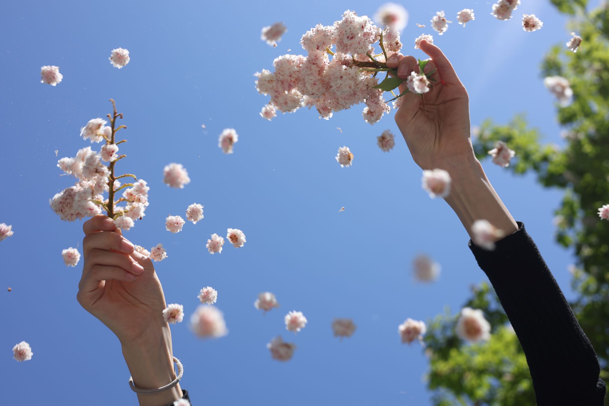 Family Event: Fotomarathon