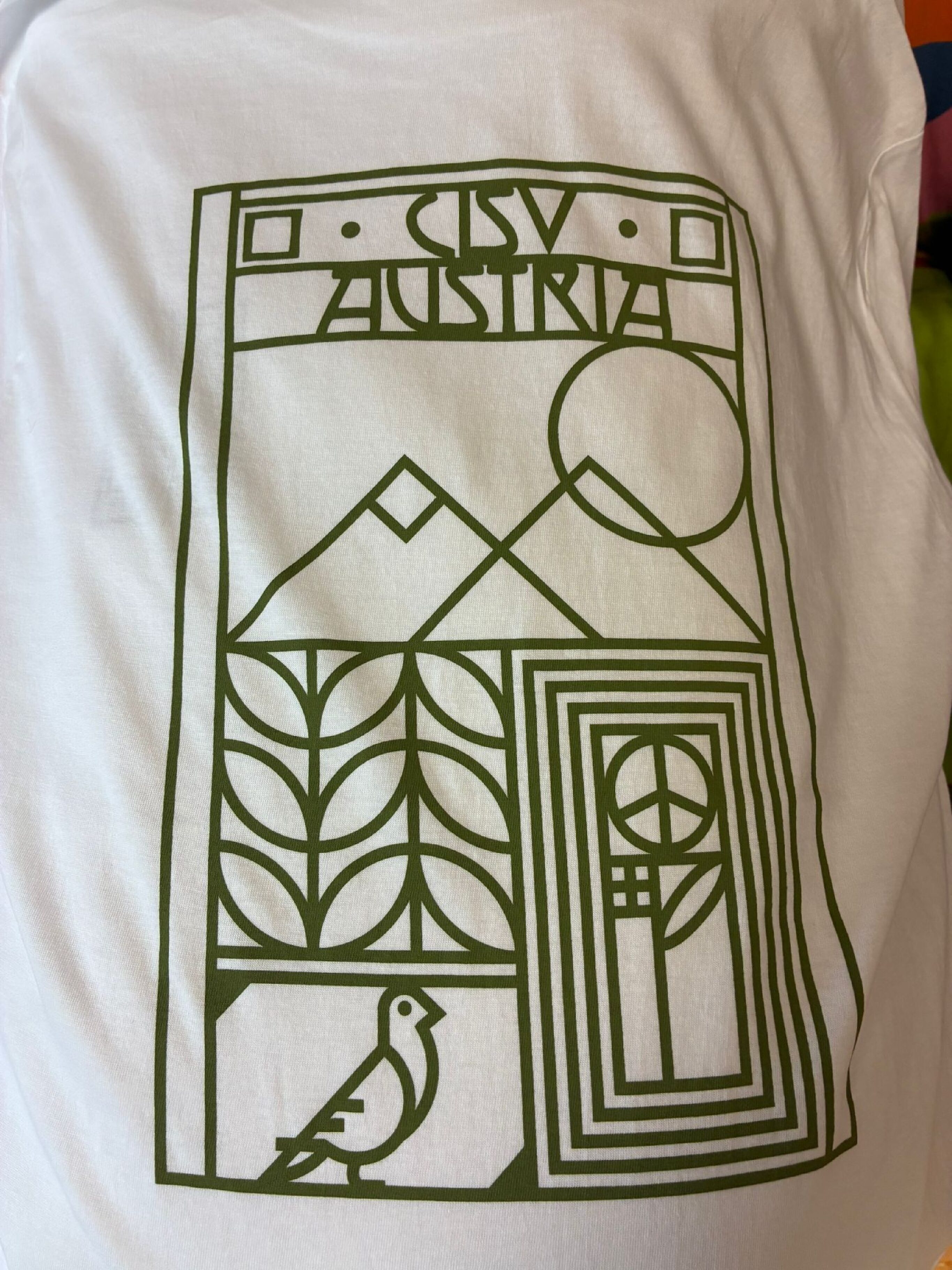 CISV Austria Motiv - "Peace Workshop" - 24 ,-